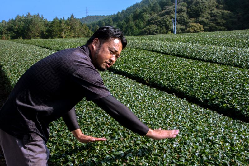The Ureshino Story: Farmers take Ureshino tea experience to spectacular levels photo