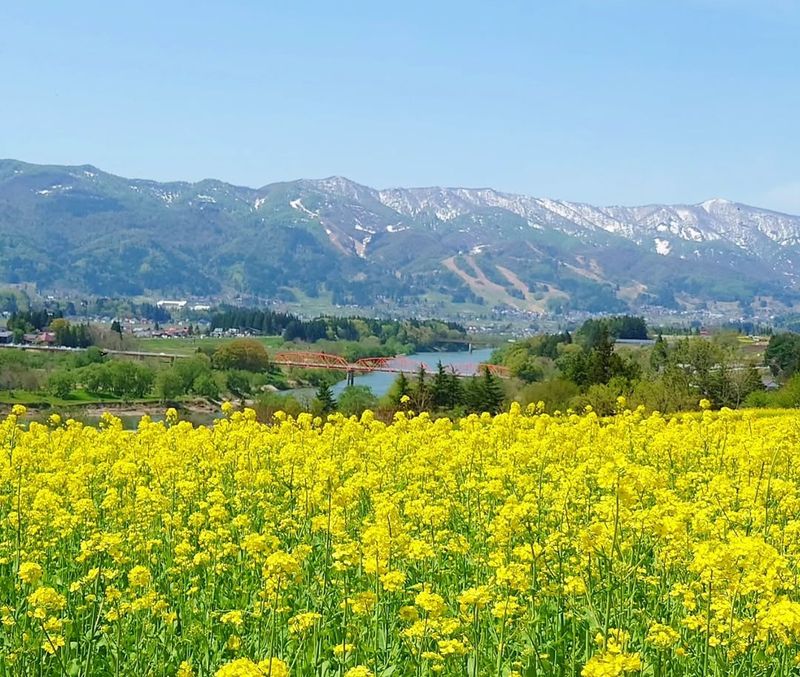 Companies moving from Tokyo is a win for rural Japan photo
