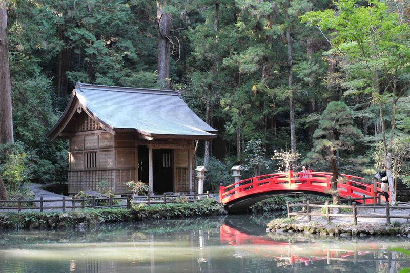 When I think of Shizuoka... photo