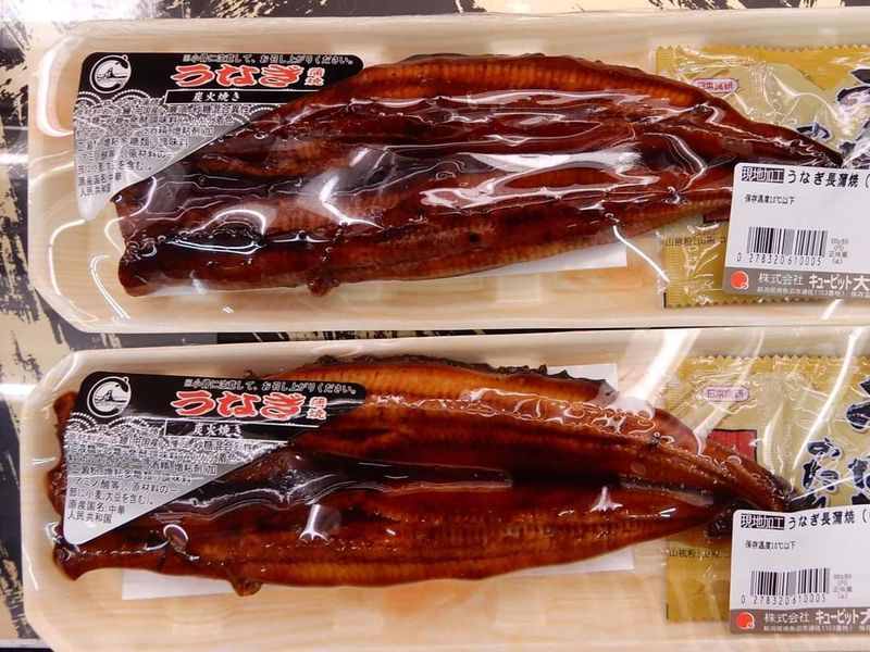 Summer foods in Japan: unagi and ayu photo