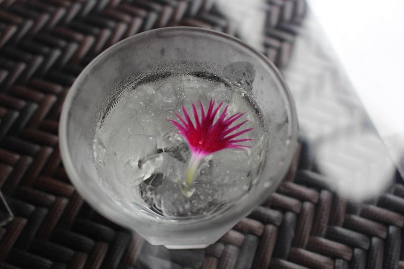 Drinking Water Day in Japan photo