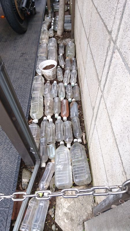 なぜ家の外にあるすべての水のボトル？ photo