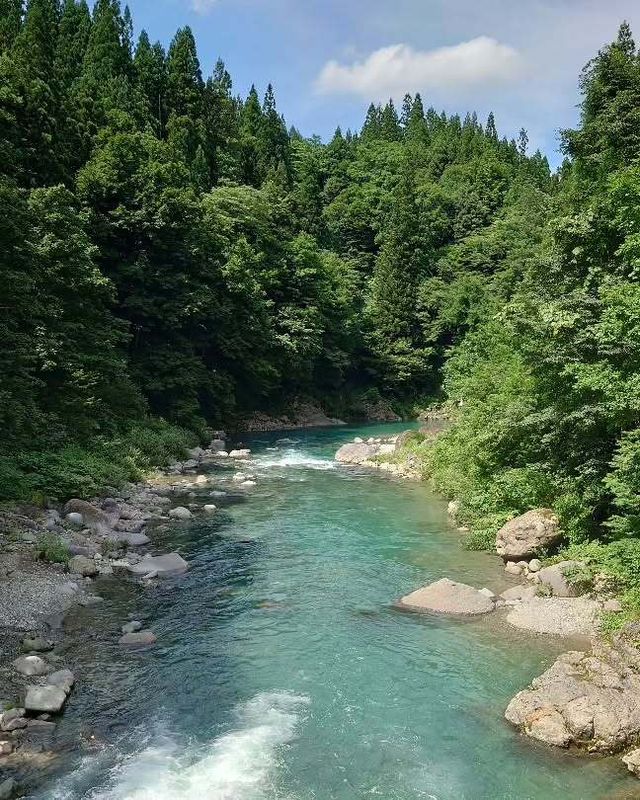 How increasing heat is changing family summer plans in Japan photo