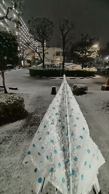 An Unexpected Snowy Night in Tokiwadaira, Matsudo – March 8, 2025 photo