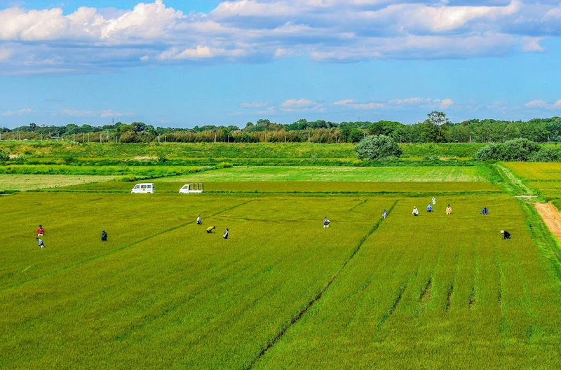 Rural Women's Day photo