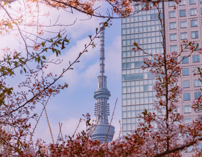 Images of Japan: April 2023 photo