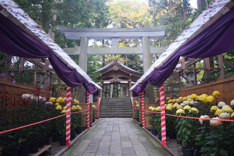 The beauty of Yahiko Shrine photo