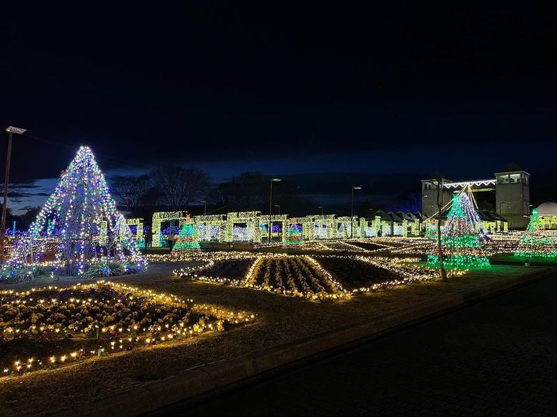 A whimsical illumination at the Gunma Flower Park photo