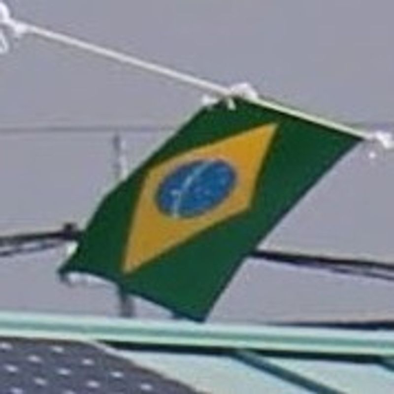 Japan-Brazil Amity Day photo