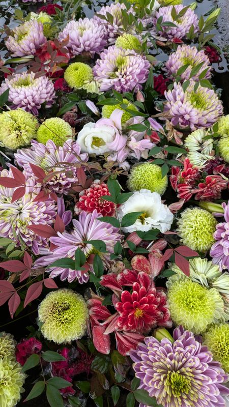 November hanachozu with chrysanthemum photo