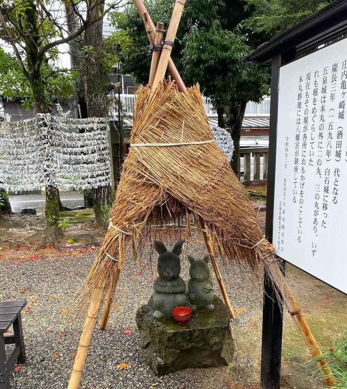 Things I love about winter in Japan: yukigakoi photo