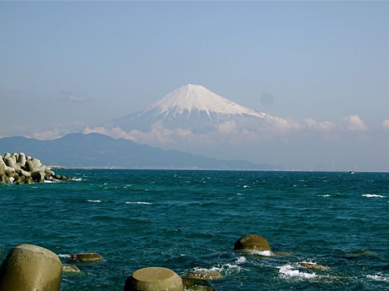 Dari Tokyo ke Gunung Fuji: Dimana, Bagaimana dan Berapa Banyak photo