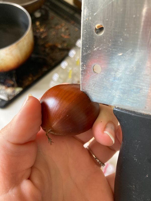 How to prepare chestnuts photo