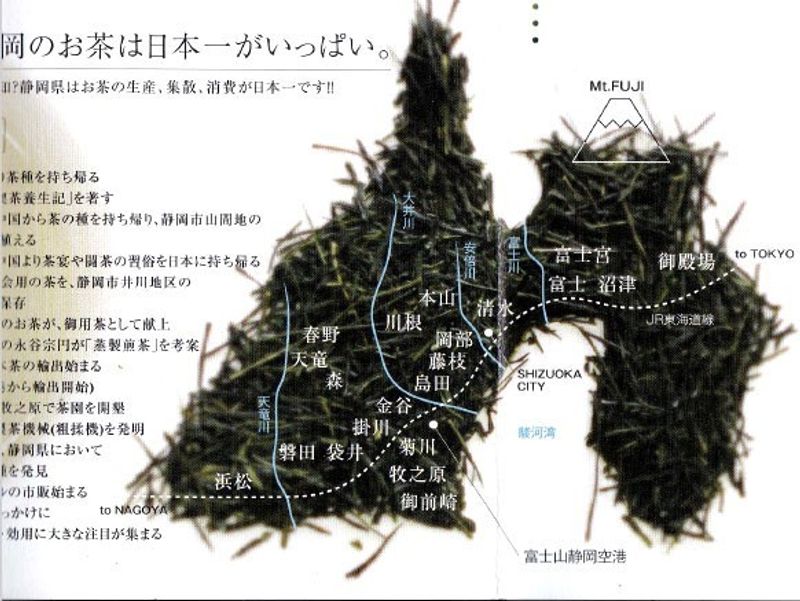 静岡茶の産地と味の違い　～結びに変えて photo