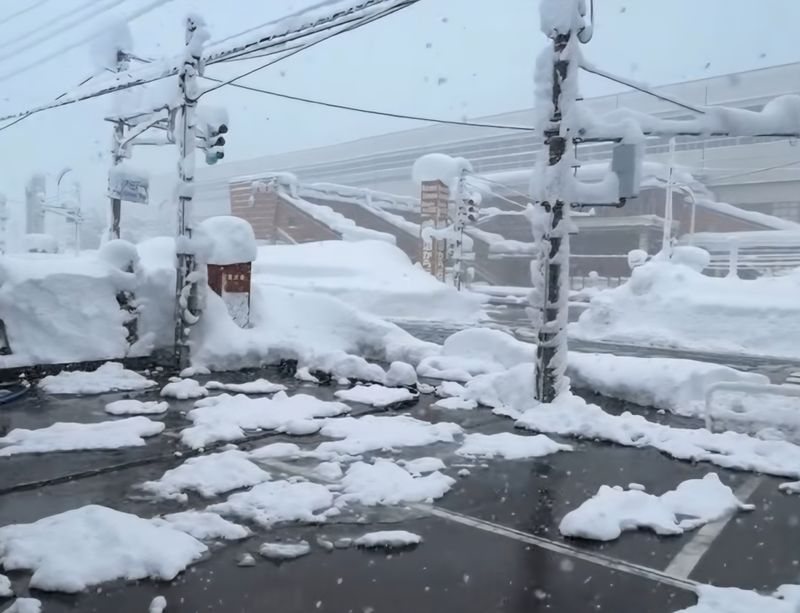 The crazy snow of the past week photo