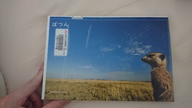 Book Review: Potsun - Animal Photobook photo