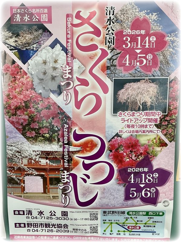 Chiba Prefecture Charms - Shimizu Park's azalea grove photo