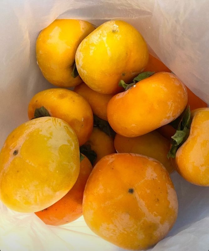 Free persimmons! photo