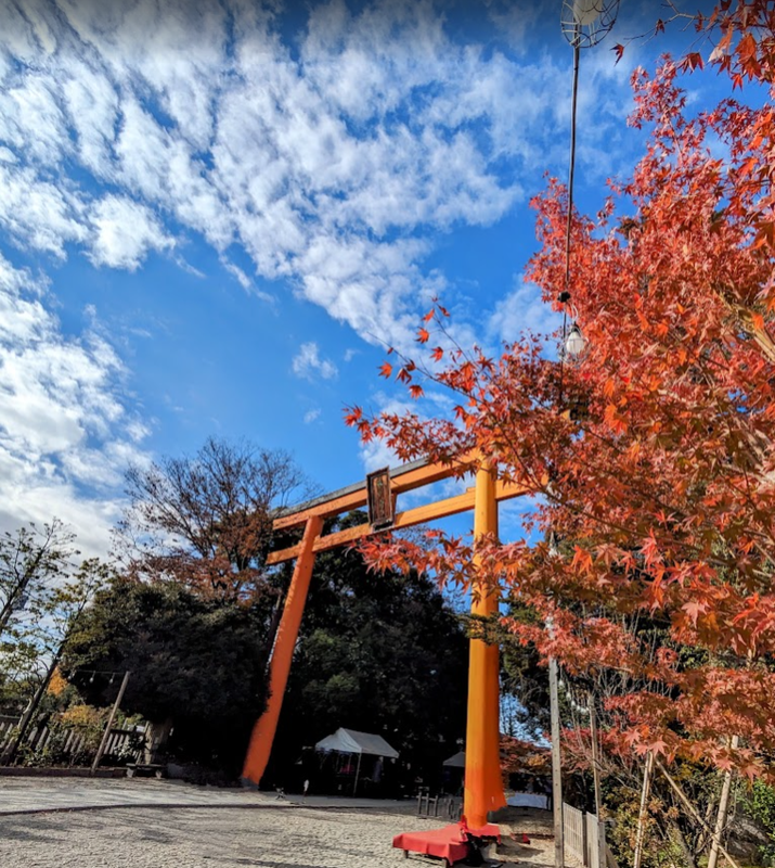 Sky Week inspired: Torii x Sky photo