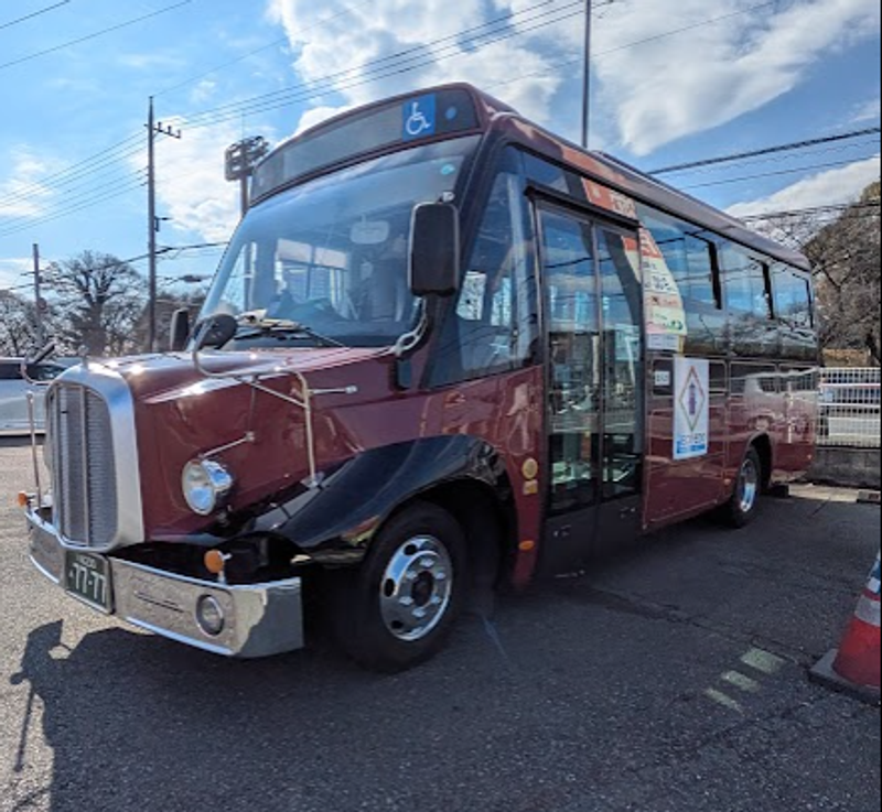 Bus Day marking more than 120 years of buses photo