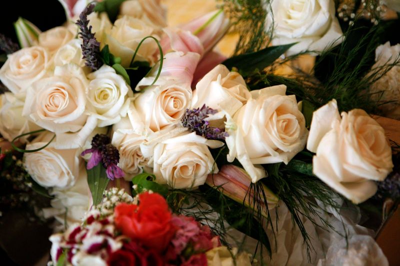 Beloved wives! photo