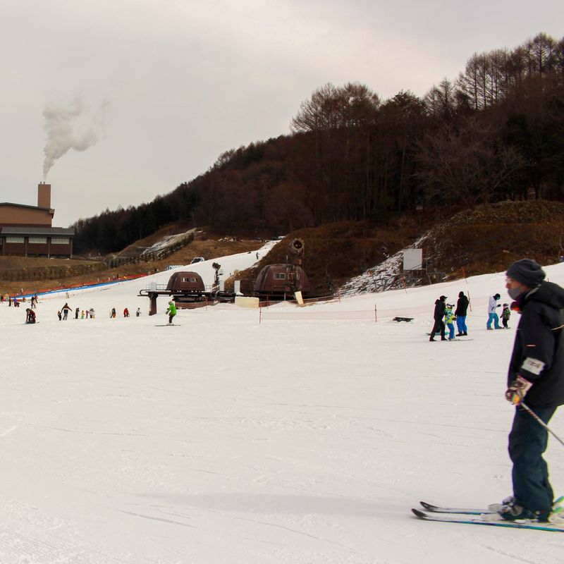 Never would I have skiied photo