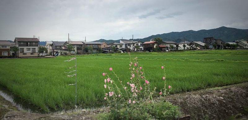 Индивидуальность японских домов photo