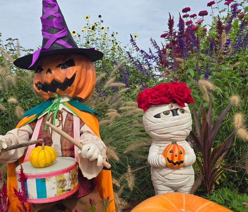 Halloween on a budget and how people here celebrate photo