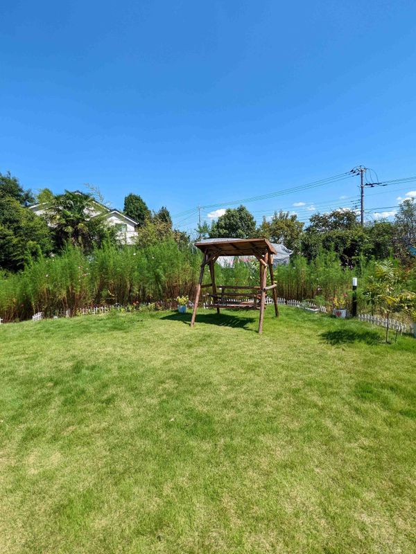 The soft power of green spaces photo