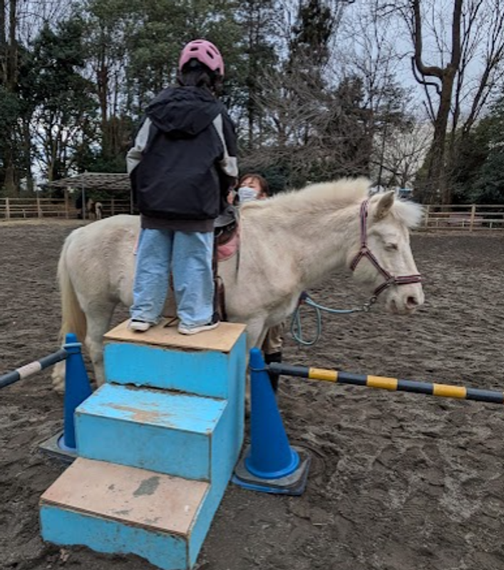 When horse riding ceased to be just for samurai photo