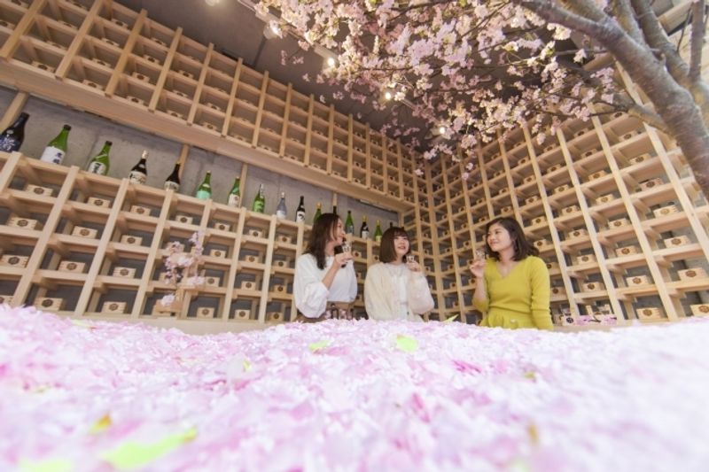 Cara untuk menikmati hanami / cherry blossom di Jepang: Yang dengan ...   photo