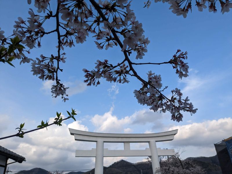 A celebration of ten years photo