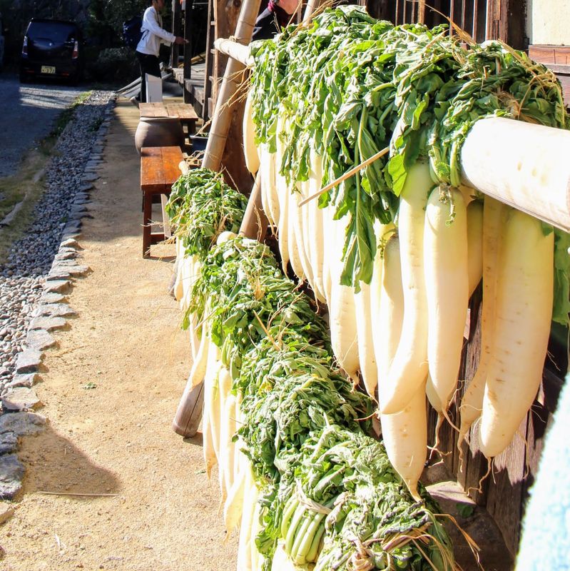 A day for shredded daikon photo