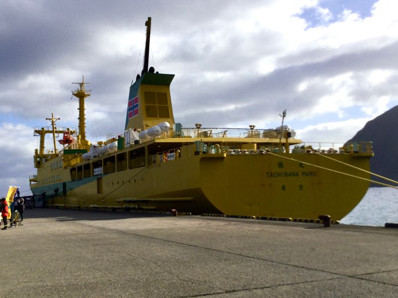 How to enjoy slow ferry travel to Izu Islands photo