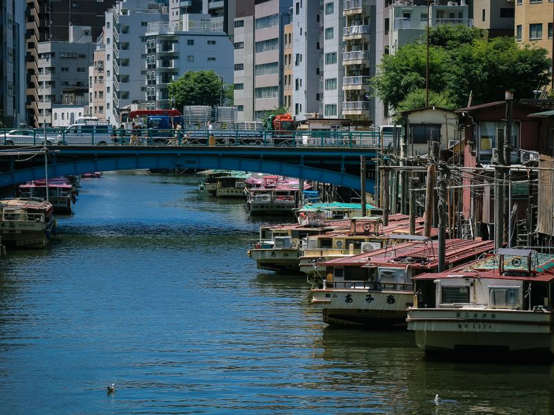 Images of Japan: May 2023 photo