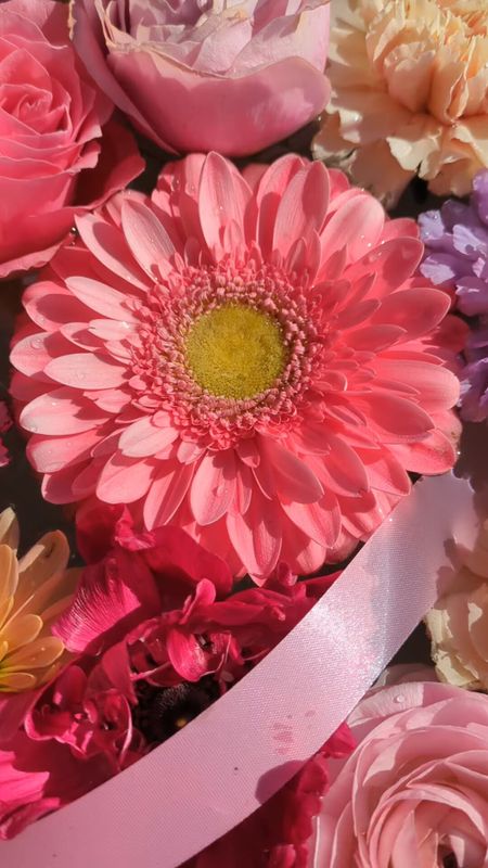 Gerbera, the flower of October 12th photo