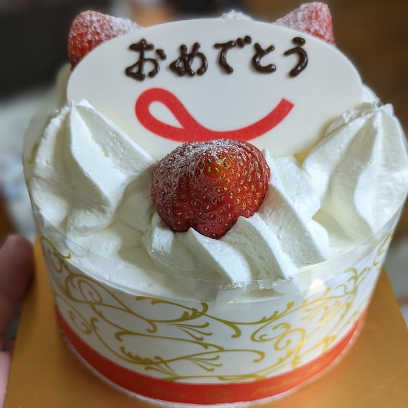 Japan wins for cakes photo