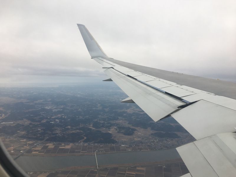 Terbang Tinggi dengan JAL photo