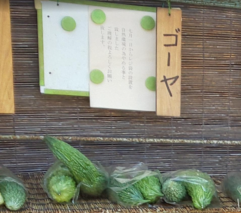 A day for Goya: Japan's tropical bitter 'melon' photo