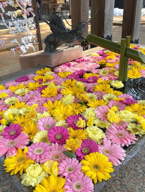 An assumption that sums up why I love living in Japan photo