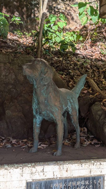 Moroyama's 'famous' dog photo