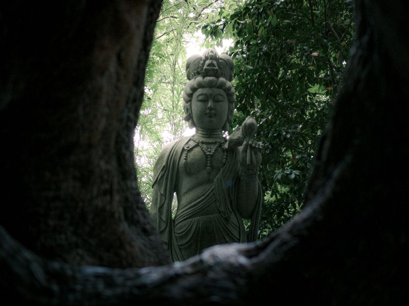 Images of Japan: May 2023 photo