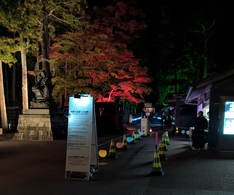 Matsushima's Fall Light Up 2025 photo