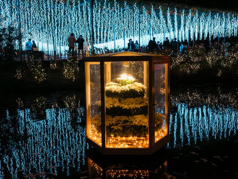 Images of Japan: November 2022 photo