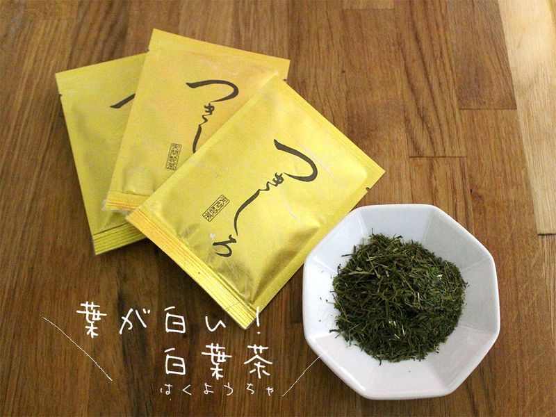 林夏子の「はてしないお茶物語」　vol.6「これがぼくらの静岡茶、現在進行形」座談会レポート 後編 photo