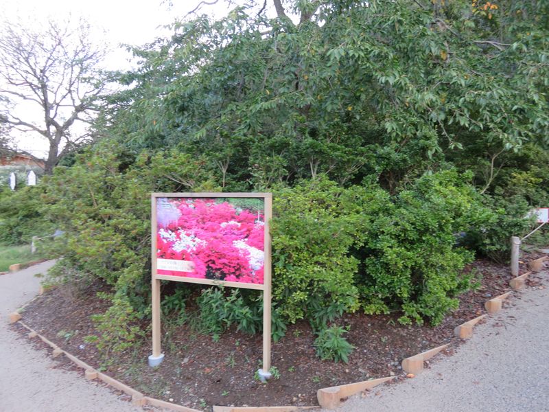 Ashikaga Flower Park in late summer photo