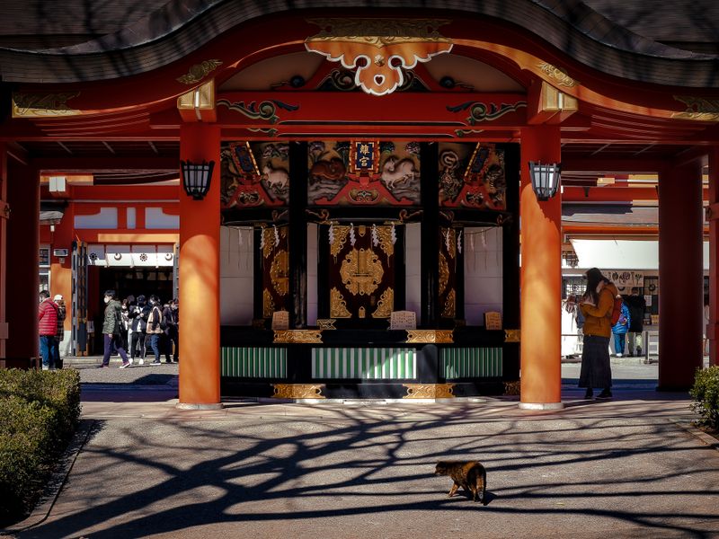 Images of Japan: February 2023 photo