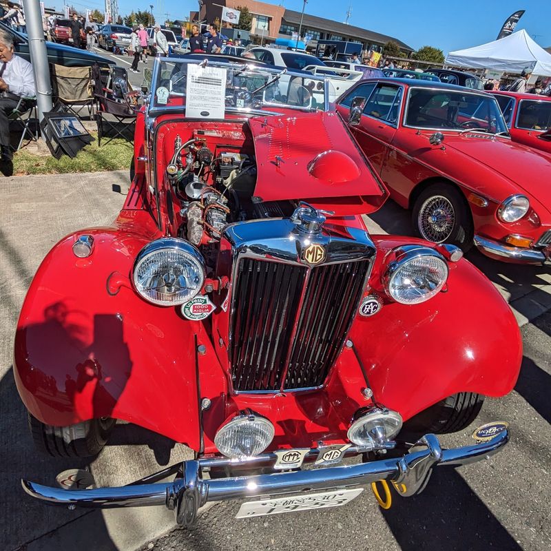 Classic Car Day  photo