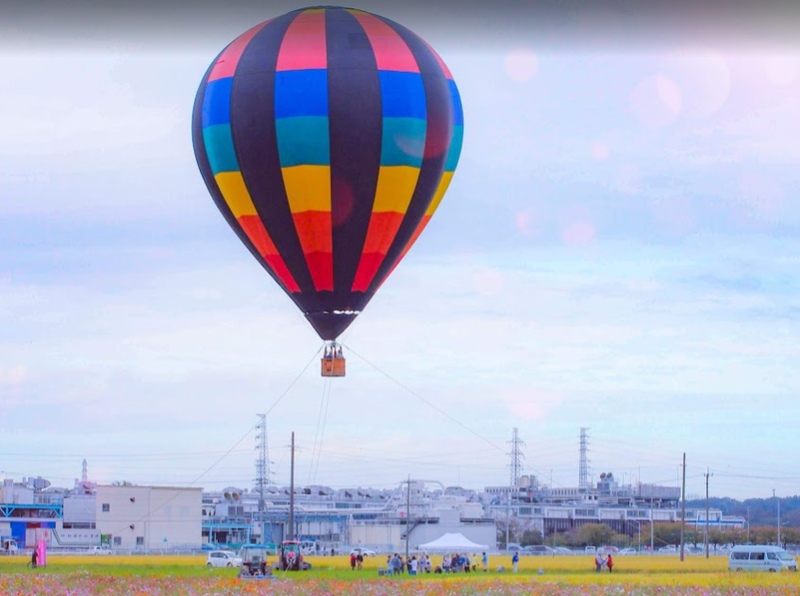 Hot Air Balloon Rides at Flower Festivals photo