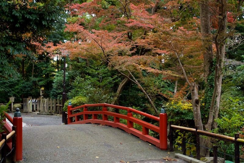 東京の紅葉を見るのに最適な場所、どのくらいの費用がかかりますか photo